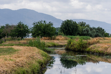 Lake reserve Hula in Israel