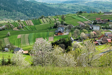 Historic agrarian landscape, Hrinovske lazy, Slovakia © vrabelpeter1
