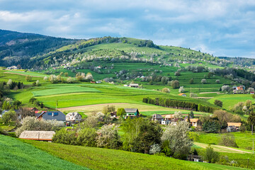 Historic agrarian landscape, Hrinovske lazy, Slovakia © vrabelpeter1