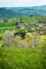 Historic agrarian landscape, Hrinovske lazy, Slovakia © vrabelpeter1