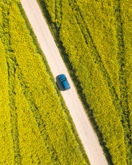 The blue car is parked in the middle of a rapeseed field.