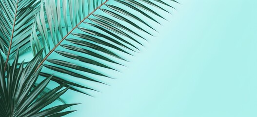 summer boho banner background style, green coconut branch, Generative Ai
