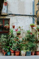 Fototapeta na wymiar Street wall decorated with flower pots