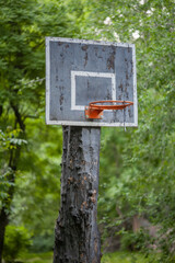 Yard basketball hoop on a pole
