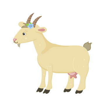 Goat with horns mammal farm animal. Collection funny animal. Cute domestic kind animal in cartoon style small toy goat. Little goat with decoration bouquet of flowers on the head. Vector illustration