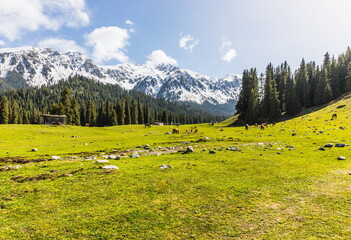 Mountain summer landscape of Jeti-Oguz (seven bulls) gorge near Issyk-Kul lake, Kyrgyzstan. Trekking to The Maiden's Tears Waterfall