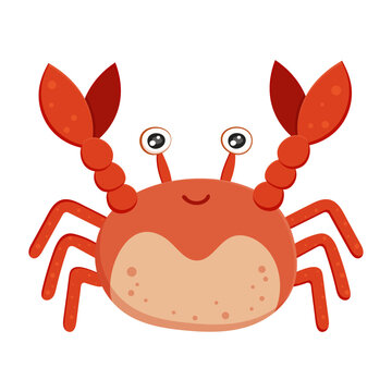 Ocean red crab animal, aquatic creature icon isolated on white background. Sea animal in cartoon style. Funny tropic underwater wild life, colorful exotic aquarium fish collection. Vector illustration