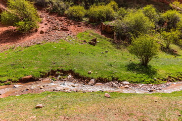 Mountain summer landscape of Jeti-Oguz (seven bulls) gorge near Issyk-Kul lake, Kyrgyzstan
