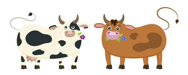 Obraz premium Set of cows chewing grass isolated on white background farm animals. Cartoon funny animals. Cute domestic kind animals in cartoon style cow and bull. Mammal cattle sticker. Flat Vector illustration