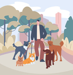 Dog sitter, volunteer walking with dogs on nature. Walker pets in city park, work or social service man. Pet care, outdoor time kicky vector modern concept