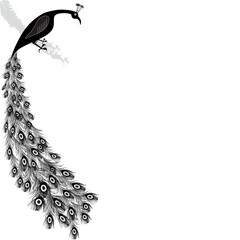 bird tatoo abstract and religion peacock logo design vectpr