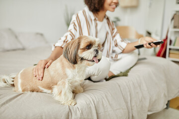 Side view portrait of cute little dog sitting on sofa with young woman and enjoying pets, copy space