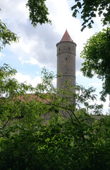 Gruener Turm in Dinkelsbuehl