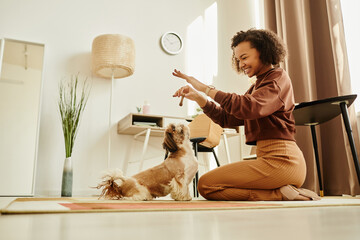 Portrait of black young woman playing with cute Shih Tzu pupy and doing dog training