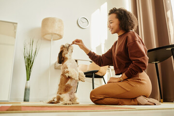 Side view portrait of black young woman playing with cute Shih Tzu dog and doing dog training