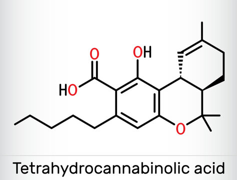 Tetrahydrocannabinolic Acid, THCA, Tetrahydrocannabinolate Molecule. Precursor Of Tetrahydrocannabinol THC, Active Component Cannabis. Skeletal Chemical Formula.