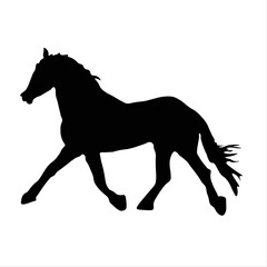 Fototapeta na wymiar silhouette of a horse, silhouette horse, horse, stallion, animal, steed, horse racing, farm, zoo 