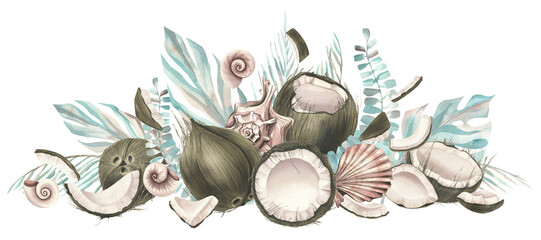 Coconuts whole, halves and pieces with tropical leaves and sea shells. Watercolor illustration, hand drawn. Isolated horizontal composition on a white background