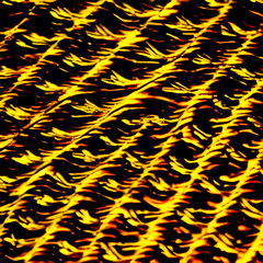 Close-Up Wood Grain. A close-up patterns of wood grain background . wooden texture. Generative AI