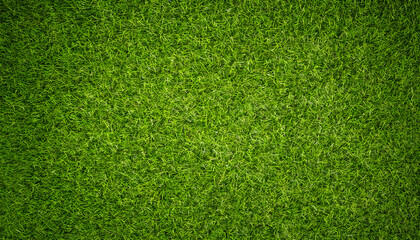 Plakat Green grass background, grass field background. Grass texture. Generative AI