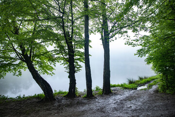 Foggy lake view with trees.Armenia