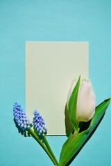水色背景に白いチューリップと青いムスカリの花をデコレーションした爽やかな