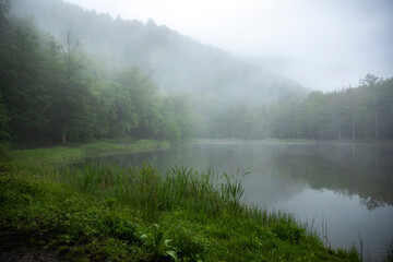 Foggy lake view with trees.Armenia