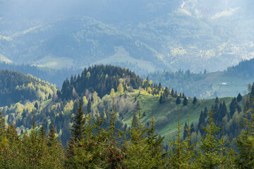 A trip through the spring mountains with a view of snow-capped peaks
