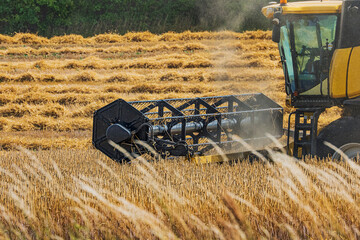 Close up of cab and cutter bar of combine harvester at work