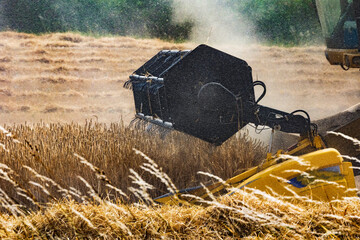 Close up of cutter bar of combine harvester at work