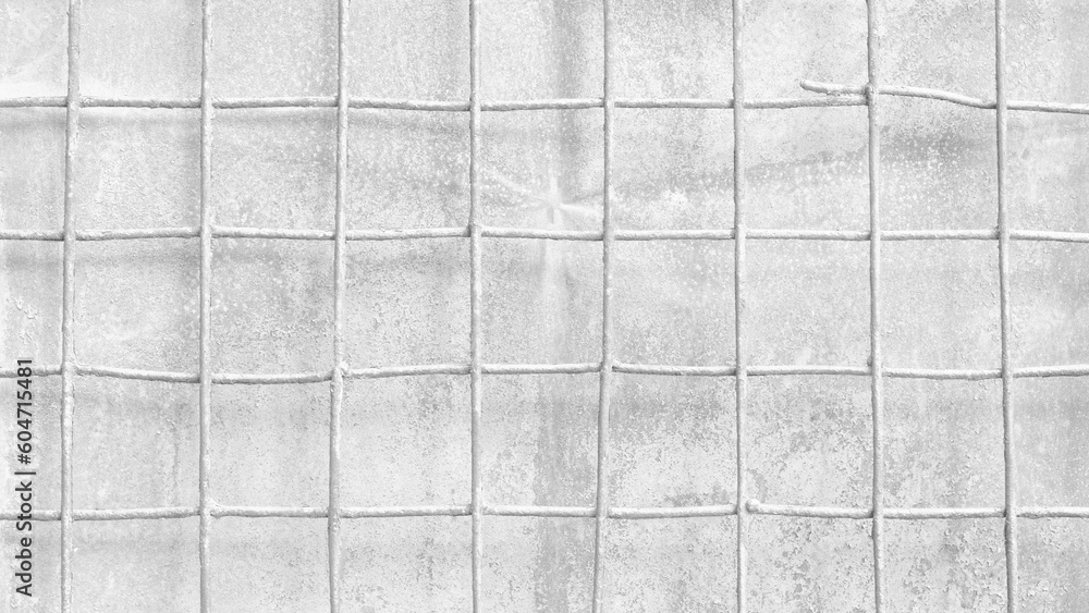 Poster abstract white wall texture with lattice for pattern background. wide panorama picture. black wall t