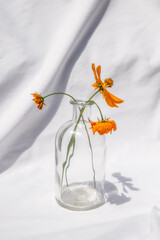 Orange Wildflower in Decorative Glass Vase