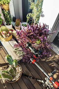 A camera mounted on a tripod with an articulated arm to photograph all kinds of plants