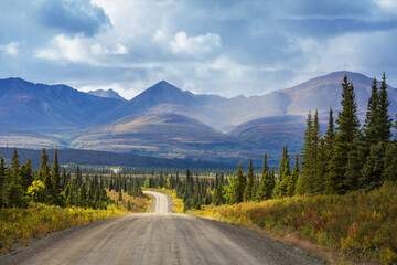 Road in Alaska - obrazy, fototapety, plakaty