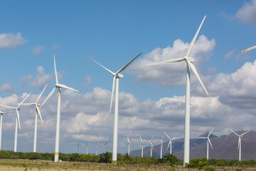 Windmill
