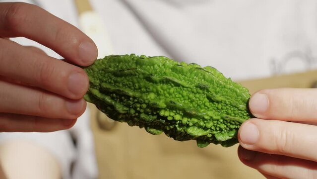 Momordica charantia fruit bitter melon in the hands of chef, close up macro.
