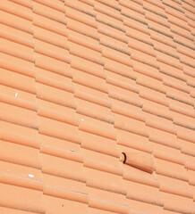 red roof tiles, full frame pattern, angle view vertical