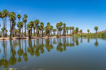 Fototapeta na wymiar Papago Park in Phoenix Arizona, America, USA. 