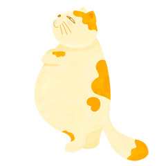 orange lazy cat isolated, vector, illustration, cartoon