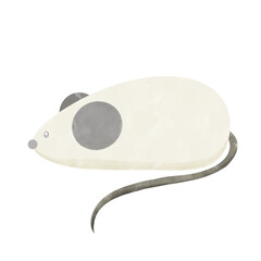 white mouse isolated, vector, illustration