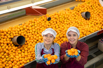 High angle view of two happy female workers of citrus sorting factory standing near grading conveyor, showing handfuls of ripe selected tangerines in hands © JackF