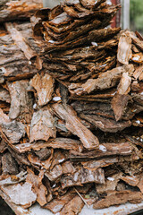 A large pile of pieces of coniferous dry bark in a forest in nature. Close-up photography, nature.