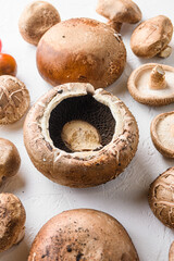 Mushrooms ingredients for baking portobello, cheddar cheese, cherry tomatoes and sage  on white background side view