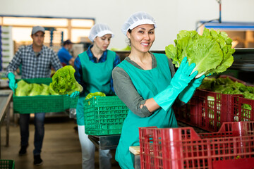 Smiling adult asian female worker of vegetable sorting and processing factory arranging selected...