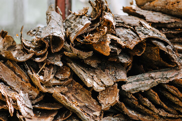 A large pile of pieces of peeled coniferous dry pine bark in a forest in nature. Photography,...
