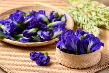 Blue butterfly pea flowers, Natural food coloring in Southeast Asian cuisine