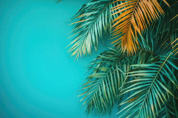 Fototapeta na wymiar Palm leaves on a transparent background with an empty space for text. tropical background in soft tones. the concept of travel. generative ai