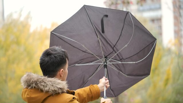 Young man tries to hold his umbrella in a strong wind in a rainy autumn day at the street.