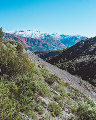 PARQUE NACIONAL LAGUNA DEL LAJA, ANTUCO. BIO BIO. CHILE