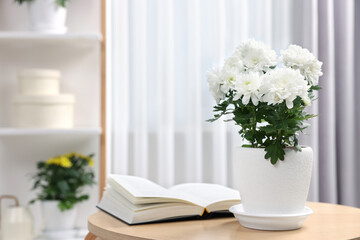 Beautiful chrysanthemum plant in flower pot and book on wooden table in room, space for text